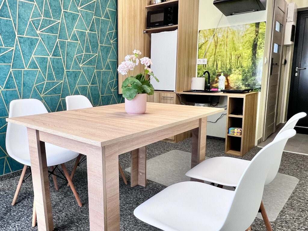 Pokoje do wynajecia z wyposażeniem, kuchnia Śląsk