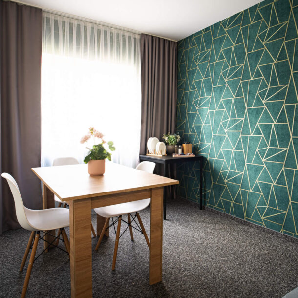 pokój dla singla Ruda Śląska podróżującego