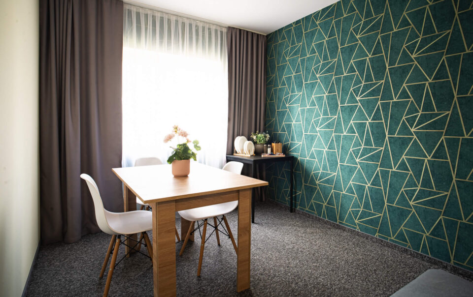 pokój dla singla Ruda Śląska podróżującego